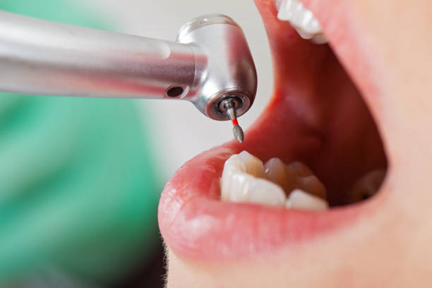 Best Emergency Orthodontic Repairs in Charlotte Park, FL